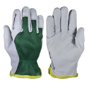 RĘKAWICE LICO BRIFF